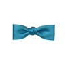 Noeud Papillon Bleu Cobalt