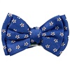 Noeud Papillon Bleu Ciel avec Marguerites