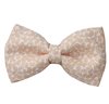Noeud Papillon Beige Paisley