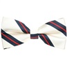 Noeud Papillon Beige Rayures Bleu Marine
