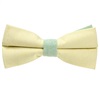 Noeud Papillon Bicolore Jaune et Vert