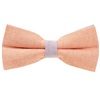 Noeud Papillon Bicolore Saumon et Mauve