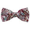 Noeud Papillon Blanc Cachemire Rose
