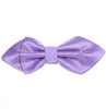 Noeud papillon Bogart Mauve
