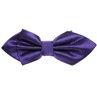 Noeud papillon Bogart Violet