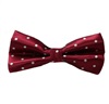 Noeud Papillon Bordeaux à Pois Blancs