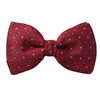 Noeud Papillon Bordeaux Marguerites Bleues