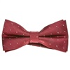 Noeud Papillon Bordeaux Pois Argent Habillé