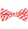 Noeud Papillon Carreaux Vichy Rouges