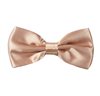 Papillon Élégant Beige