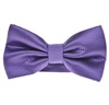Papillon Élégant Violet Clair