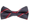 Noeud Papillon Gris Violet Rayures Rouges