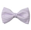 Noeud Papillon Rayures Mauve