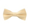 Papillon Enfant Jaune Clair