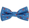 Noeud Papillon Enfant Bleu avec Parapluies Grenat