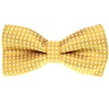 Noeud Papillon Enfant Ocre à Pois