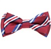 Noeud Papillon Enfant Rayures Bordeaux
