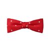 Noeud Papillon Enfant Rouge Smoking Pois