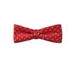 Papillon Enfant Rouge Paisley Bleu