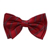 Noeud Papillon Enfant Soie Grenat Rayures