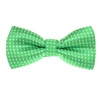 Noeud Papillon Enfant Vert Pistache à Pois