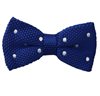 Noeud Papillon Pois Bleu Royal