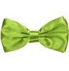 Noeud Papillon en Satin Vert Pistache