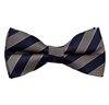 Noeud Papillon Rayures Bleu Marine et Beige