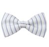 Noeud Papillon Rayures Bleues