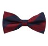 Noeud Papillon Rayures Bleues et Bordeaux