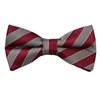 Noeud Papillon à Rayures Bordeaux et Beige