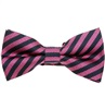 Noeud Papillon Rayures Magenta et Bleu Marine