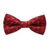 Noeud Papillon Rouge avec Lions