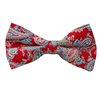 Noeud Papillon Rouge Paisley