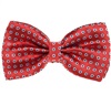 Noeud Papillon Rouge Corail avec Marguerites Blanches