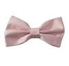 Papillon Rose Audrey
