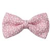 Papillon Rose Paisley