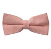 Noeud Papillon Saumon