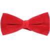 Noeud Papillon Velours Rouge