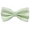 Noeud Papillon Vert Clair