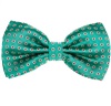 Noeud Papillon Vert avec Marguerites Blanches