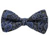 Papillon Vert Motif Paisley Bleu
