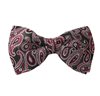 Papillon Vert Motif Paisley Magenta