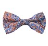 Papillon Very Peri à Paisley