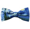 Noeud papillon Vincent