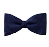 Papillon et Mouchoir Bleu à Pois Magenta