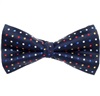 Noeud Papillon et Mouchoir Bleu à Pois Multicolores