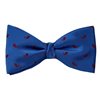 Papillon et Mouchoir Bleu Royal Paisley