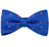Papillon et Mouchoir Bleu Ciel avec Roses Rouges