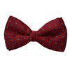 Noeud Papillon et Mouchoir Bordeaux avec Fleurs